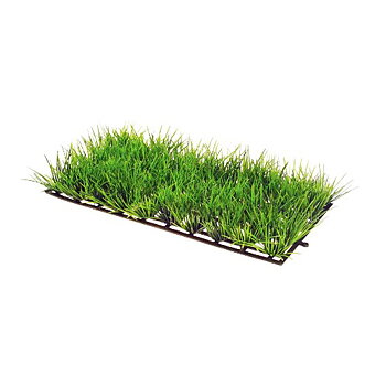 Plant Mat 1  25x12,5cm