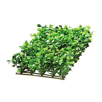 Plant Mat 4 25x12,5cm Slut