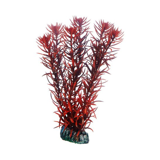 Plast växt- Eusteralis 20cm