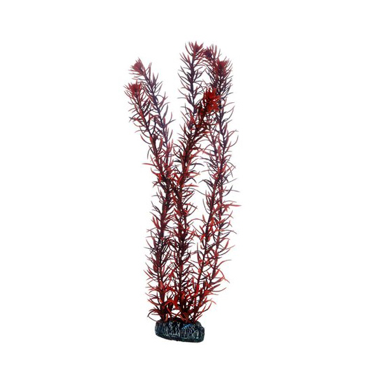 Plast växt- Eusteralis 39cm