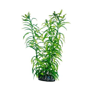 Plast växt- Heteranthera 25cm