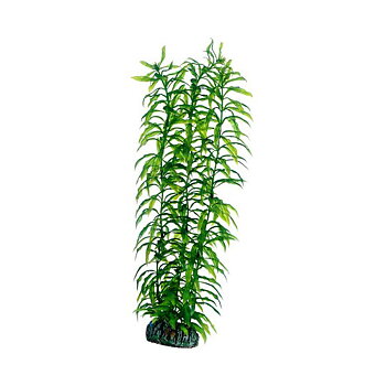 Plast växt- Heteranthera 34cm