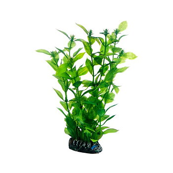 Plast växt- Hygrophila 20cm