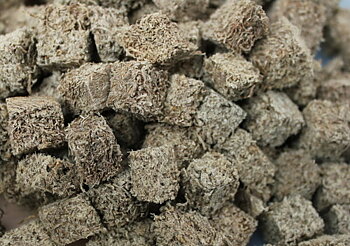 Frystorkad black worms 0,25 liter (SLUT)