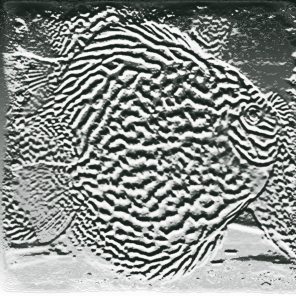 Altum flora