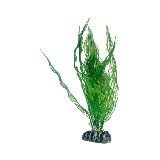 Plast växt- Aponogeton 25cm