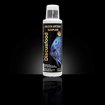 Golden artemia nauplien 250ml