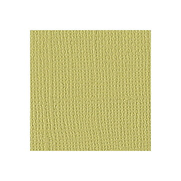 BZ Canvas - Reed T5-558