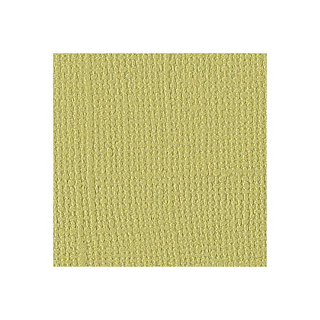 BZ Canvas - Reed T5-558