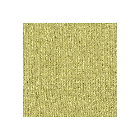 BZ Canvas - Reed T5-558