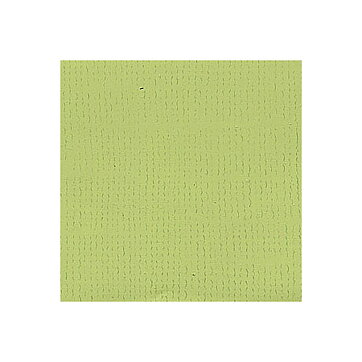 BZ Canvas - Palm T5-5121