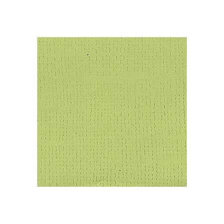BZ Canvas - Palm T5-5121