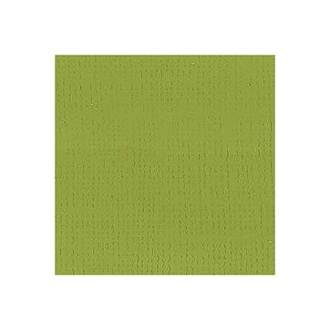 BZ Canvas - Lizard T5-5122
