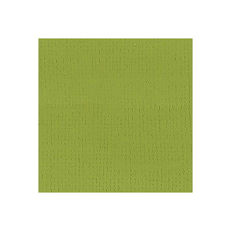 BZ Canvas - Lizard T5-5122