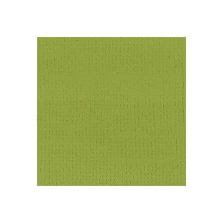BZ Canvas - Lizard T5-5122