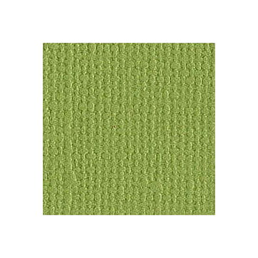 BZ Canvas - Paraket T5-510