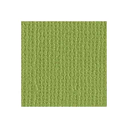 BZ Canvas - Paraket T5-510