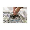Darice Bead Storage Tray - Tiny Container