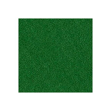 BZ Canvas - Bazzill Green T5-551