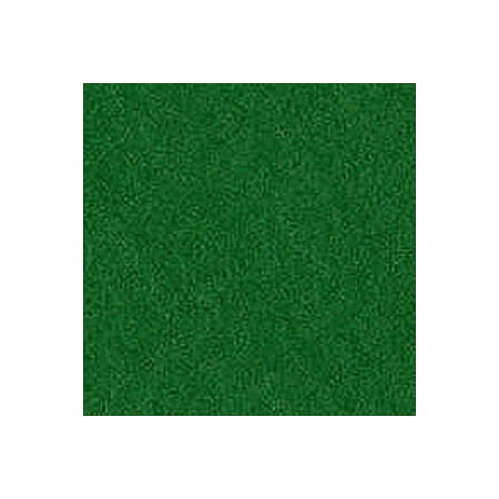 BZ Canvas - Bazzill Green T5-551