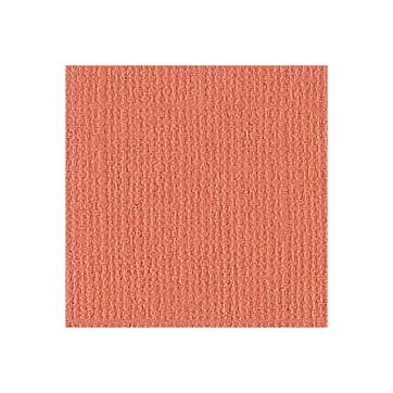 BZ Canvas - Arizona T3-329