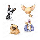 Stamping Bella Cling Rubber Stamps - Bostons, Pug & Chihuahua