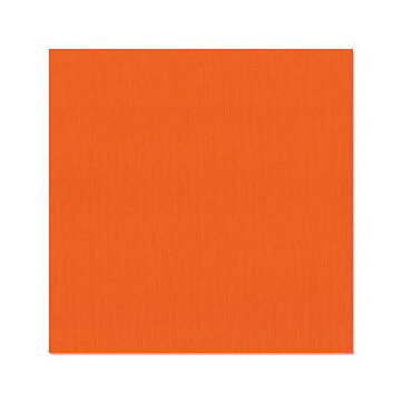 BZ Canvas - Bazill Orange T3-381