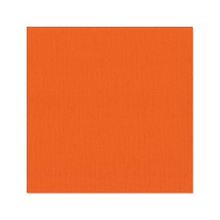 BZ Canvas - Bazill Orange T3-381