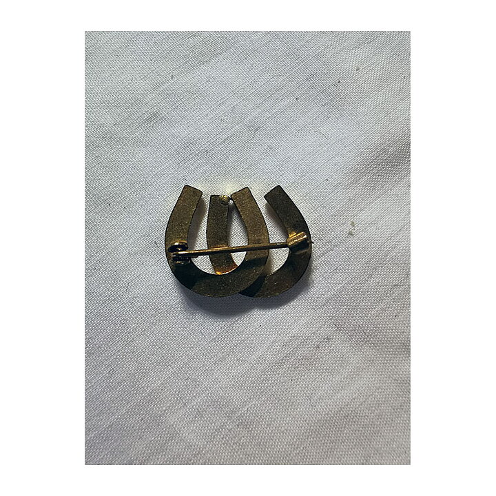 Brooch - Horseshoes