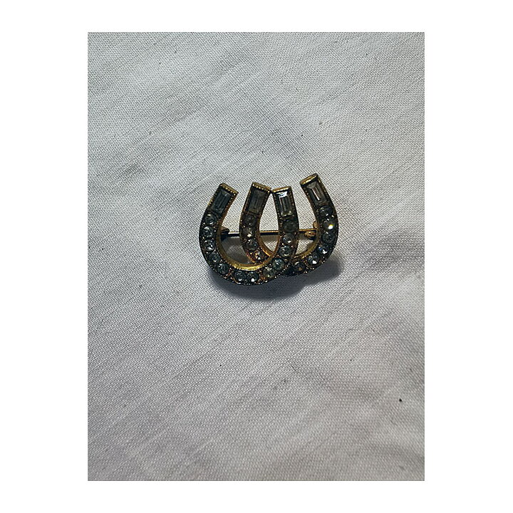 Brooch - Horseshoes