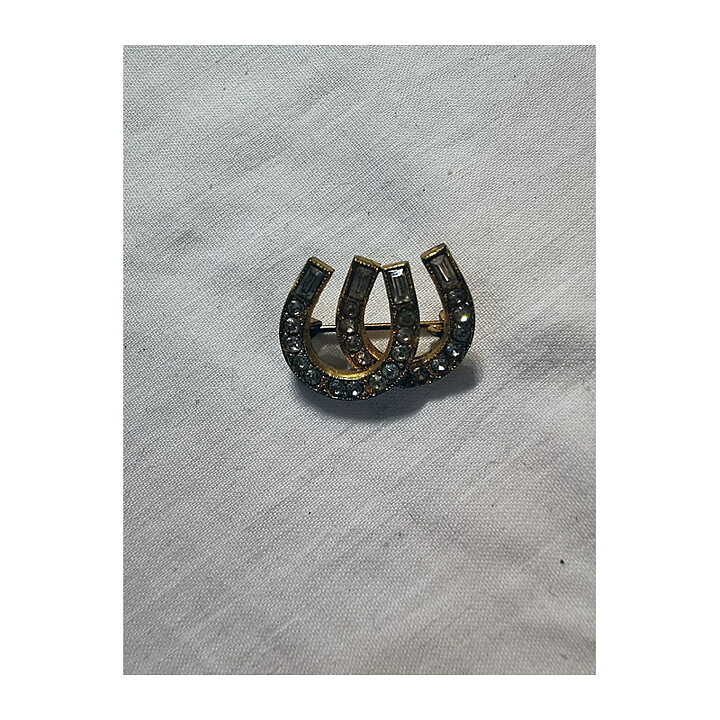 Brooch - Horseshoes