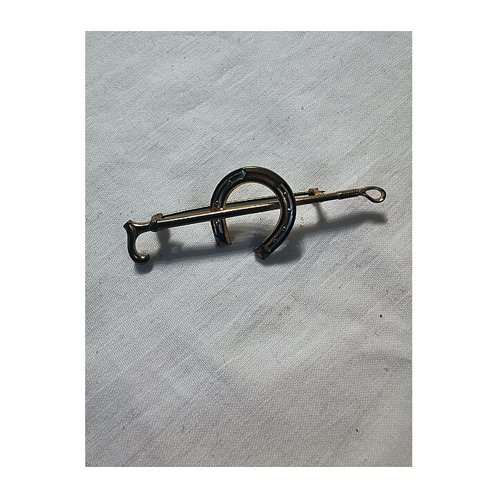 Brooch - Pin with Horseshoe