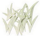 EK Success Stickers Jolee's By You Mini - Flower Blade Grass Bright