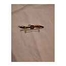 Brooch - Pin Flying Wings