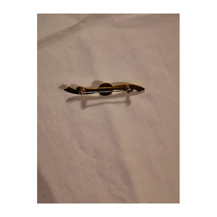Brooch - Pin Flying Wings