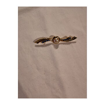 Brooch - Pin Flying Wings