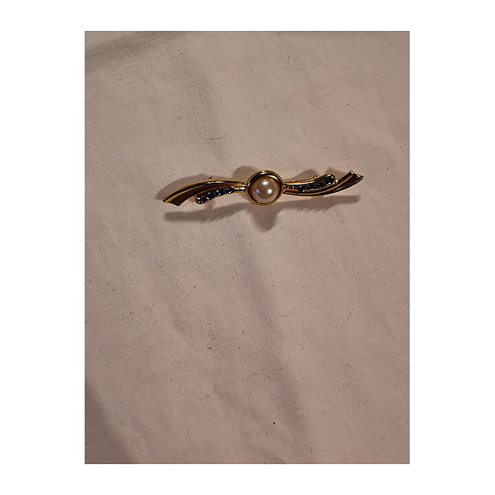 Brooch - Pin Flying Wings
