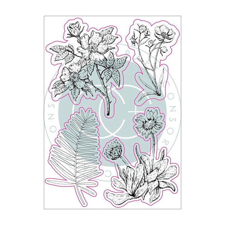Craft Consortium A5 Clear Stamps - Flora, At Home In The Wildflowers