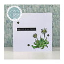 Craft Consortium A5 Clear Stamps - Flora, At Home In The Wildflowers