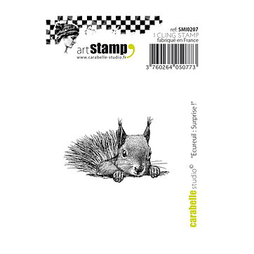 Carabelle Studio Cling Stamp Small - Squirrel Surprise !