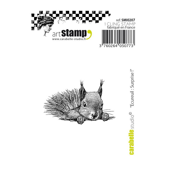 Carabelle Studio Cling Stamp Small - Squirrel Surprise !