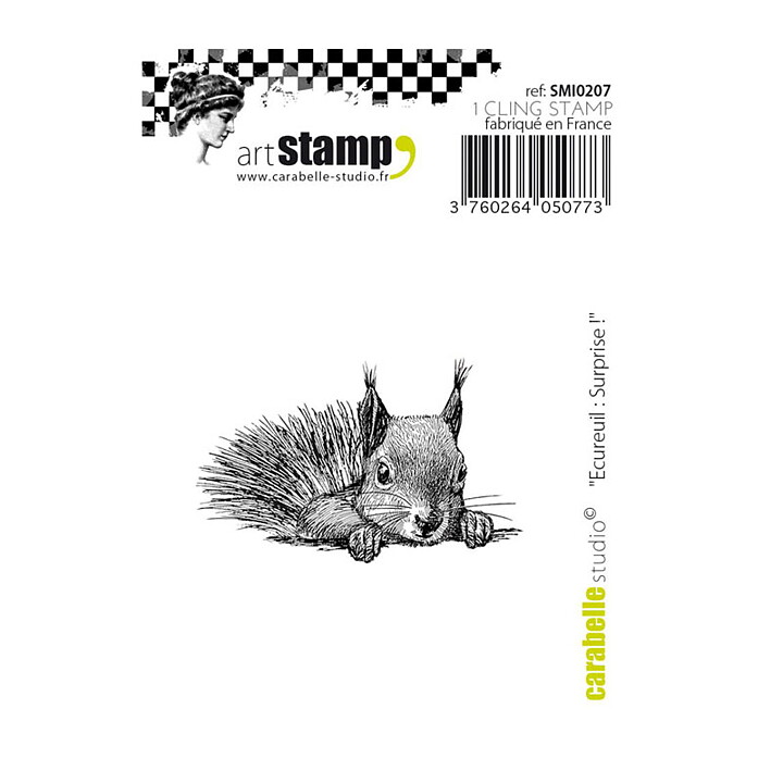 Carabelle Studio Cling Stamp Small - Squirrel Surprise !