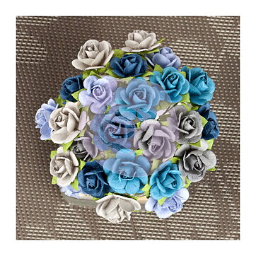 Prima Mini Roses - Sachet Sure