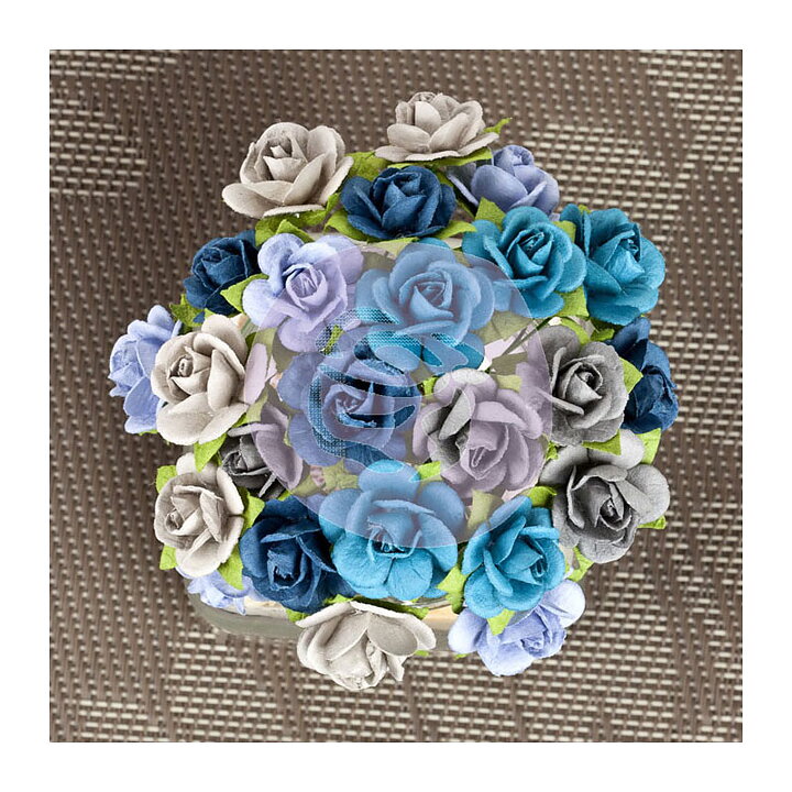 Prima Mini Roses - Sachet Sure