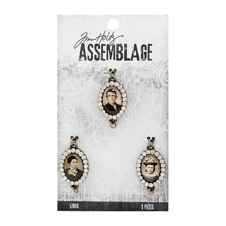 Tim Holtz Assemblage Links - Jeweled Photo