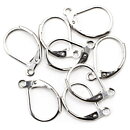 Cousin Stainless Steel Elegance - Leverback Earwires 