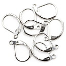 Cousin Stainless Steel Elegance - Leverback Earwires 