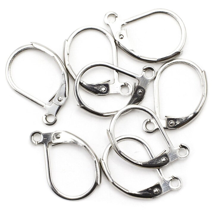 Cousin Stainless Steel Elegance - Leverback Earwires 