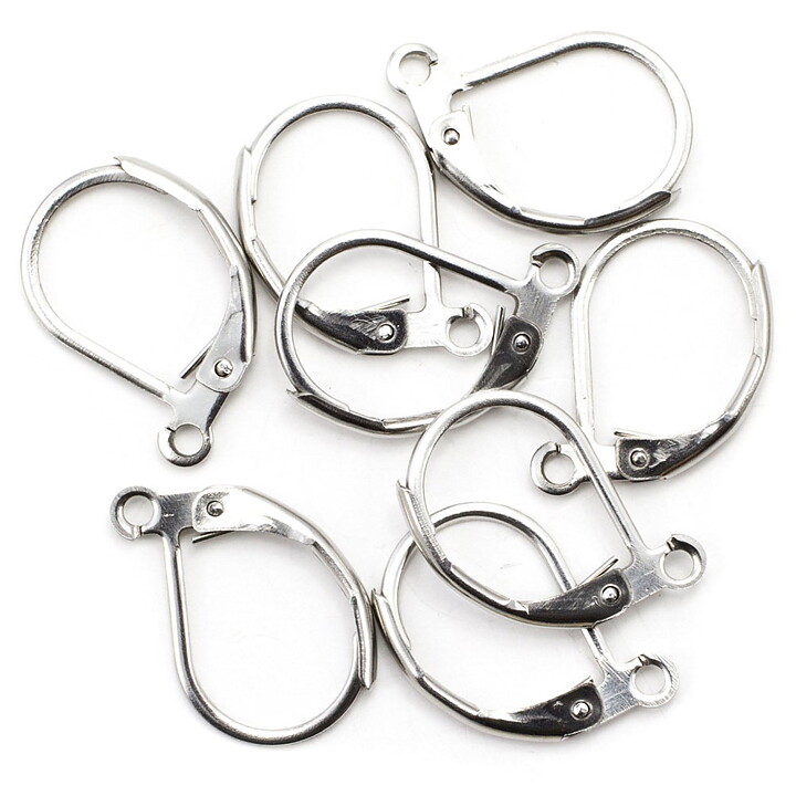 Cousin Stainless Steel Elegance - Leverback Earwires 