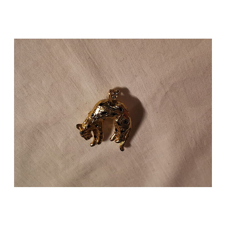 Brooch - Sheetha